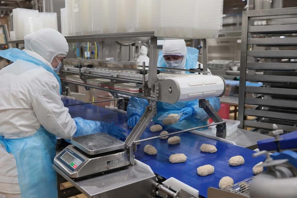 птицефабрика алтайский птицевод. птицефабрика в алтайском крае. птицефабрика алтайский птицевод. староалейская птицефабрика алтайский край. сколько птицефабрик в алтайском крае.