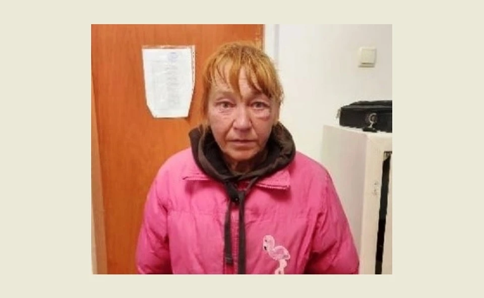 По сведениям правоохранителей, Татьяна Матлова совершила кражу. Фото: 82.мвд.рф