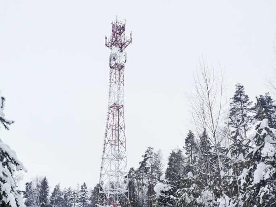 Фото МТС.