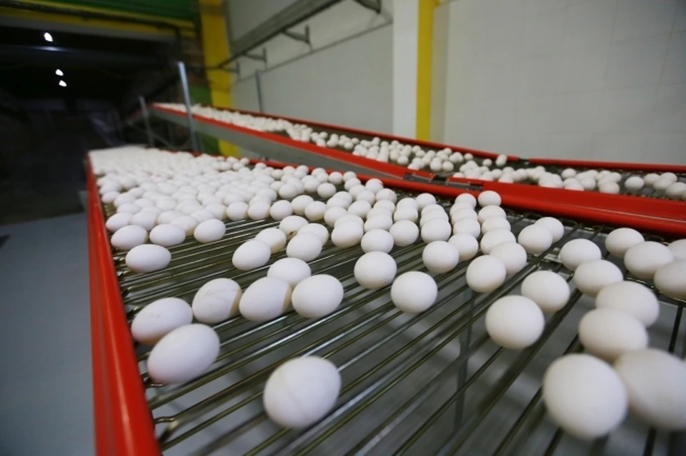 Свыше 1000 магазинов в Иркутской области соблюдают Меморандум о ценах на яйцо