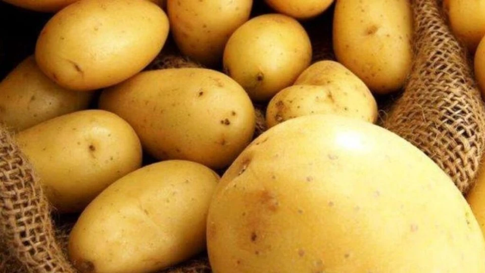 Появилась информация о перспективе поставок на региональный рынок картофеля из Египта в начале февраля. Фото: east-fruit.com.