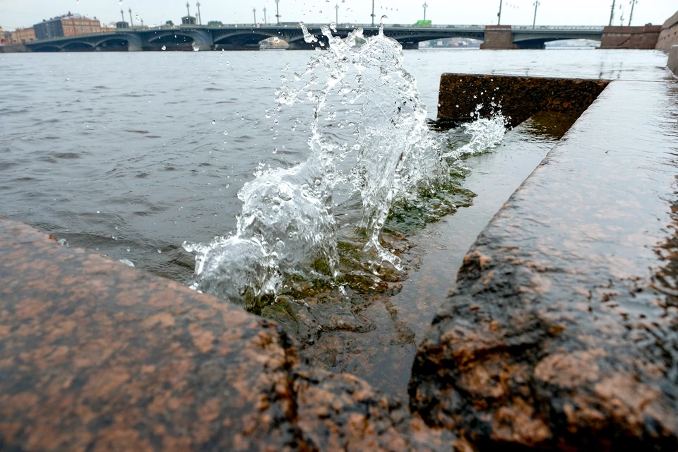 Большая федеральная программа по оздоровлению водоемов России стартует в 2025 году.