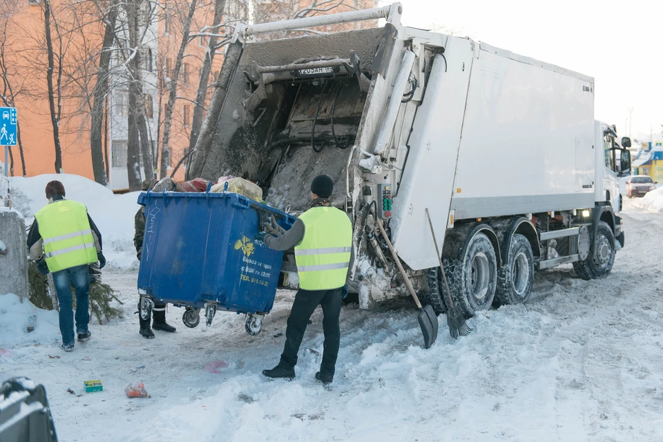 Доля загрязненных водоемов в Ростовской области составляет более 91%.