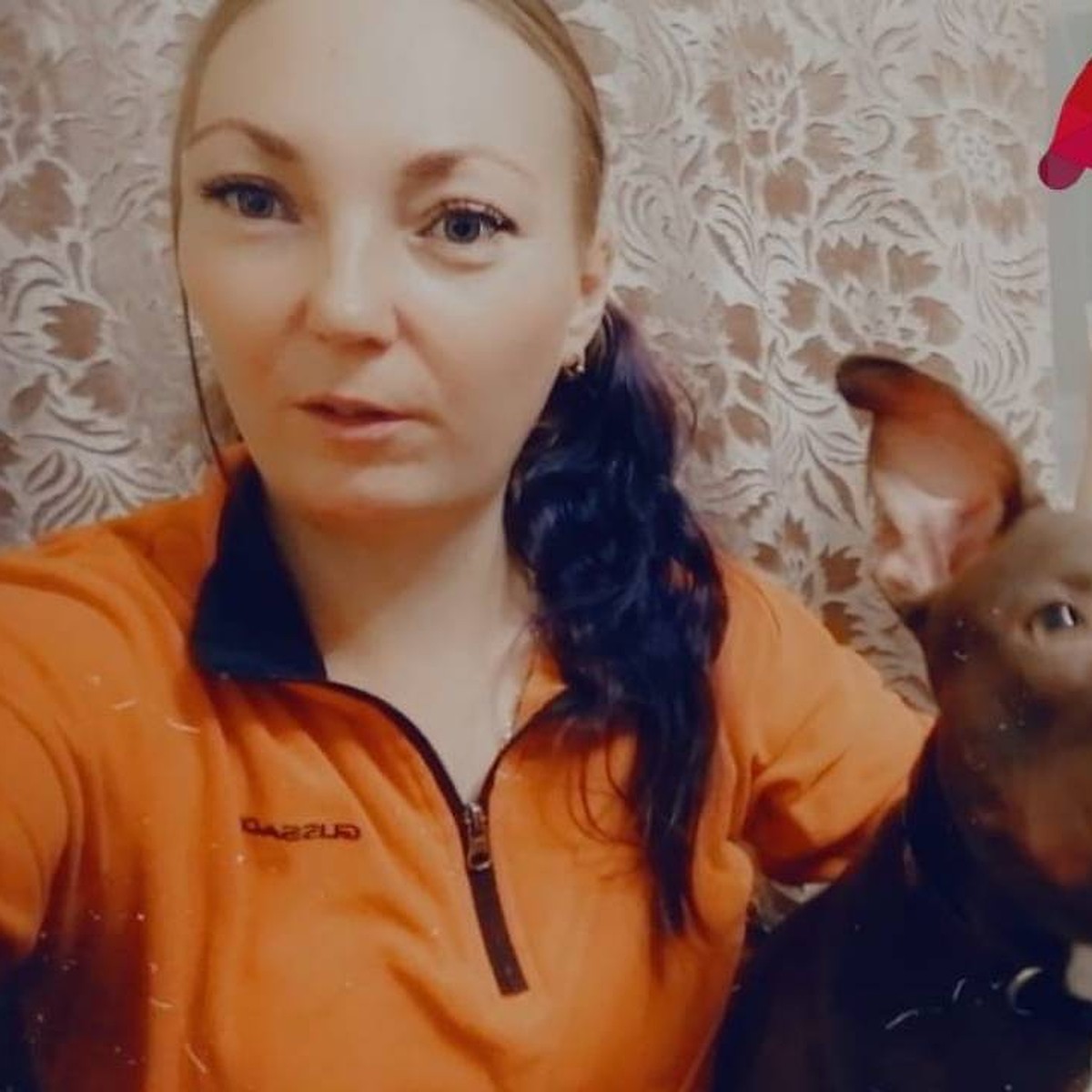 «Хана тебе и собаке»: в Братске покусанные питбулем соседи напали на его  хозяйку с битой - KP.RU