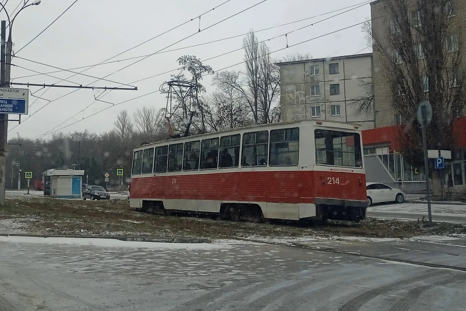 Два утренних рейса трамваев отменят из-за опиловки деревьев 2 февраля в Липецке