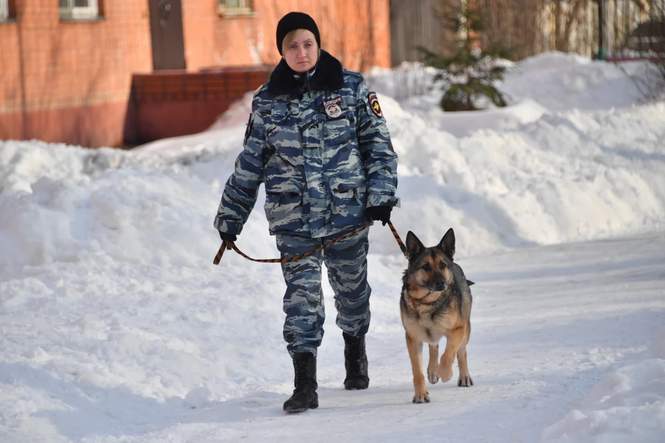 Ульяновские спасатели в январе 16 раз выезжали проверять подозрительные предметы