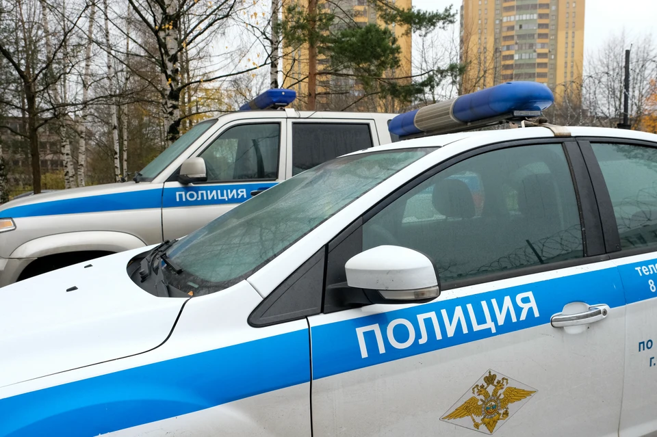 Чиновника из Петербурга задержали полицейские.