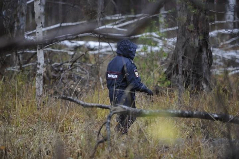 Оперативники нашли убитого в лесной посадки вдоль трассы