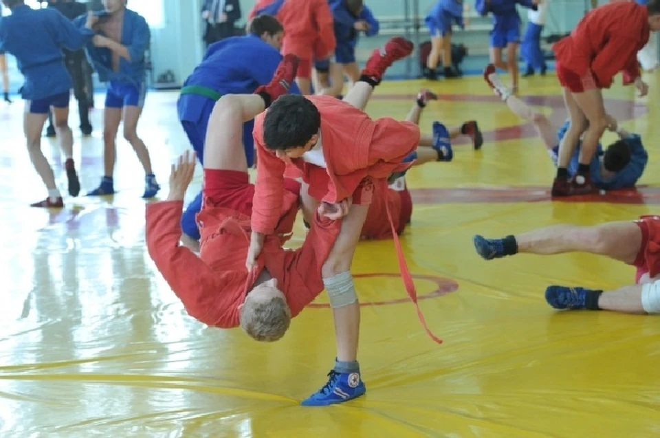 Более тысячи спортсменов региона приняли участие в различных турнирах и мастер-классах по самбо