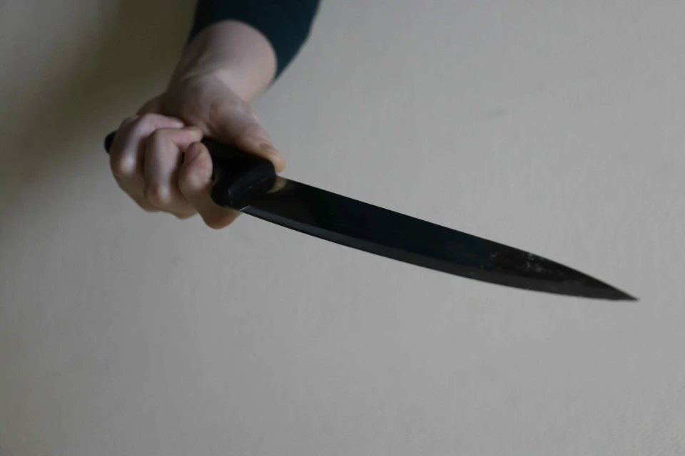 Жительница Новомосковска Тульской области пырнула ножом сожителя-изменщика