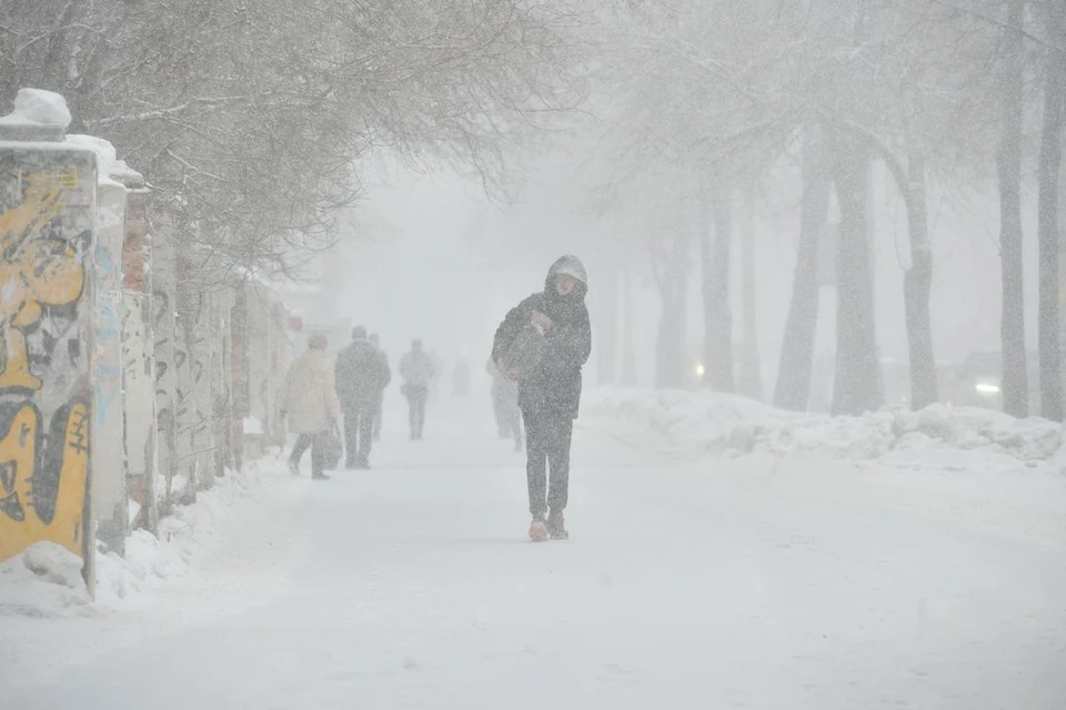 Новосибирские синоптики прогнозируют потепление до +1 градуса.