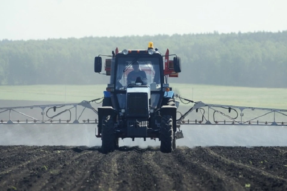 Фермерское хозяйство «Дубинченко» в Краснодонском районе станет участником свободной экономической зоны