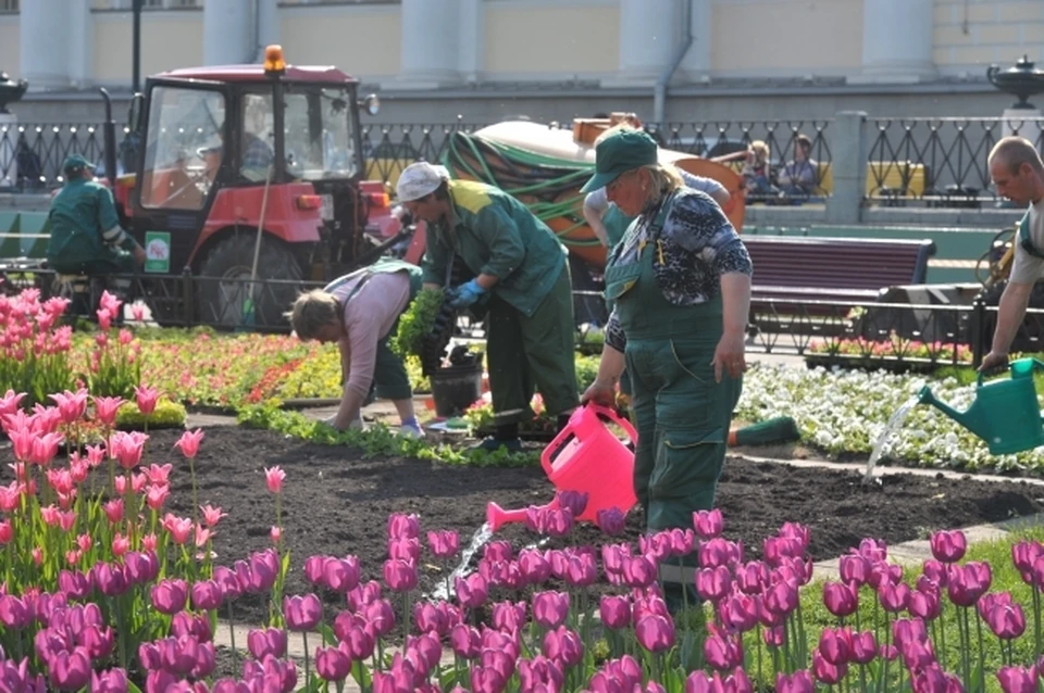 Более 90 цветников высадили в Канавинском районе Нижнего Новгорода за 6 лет.