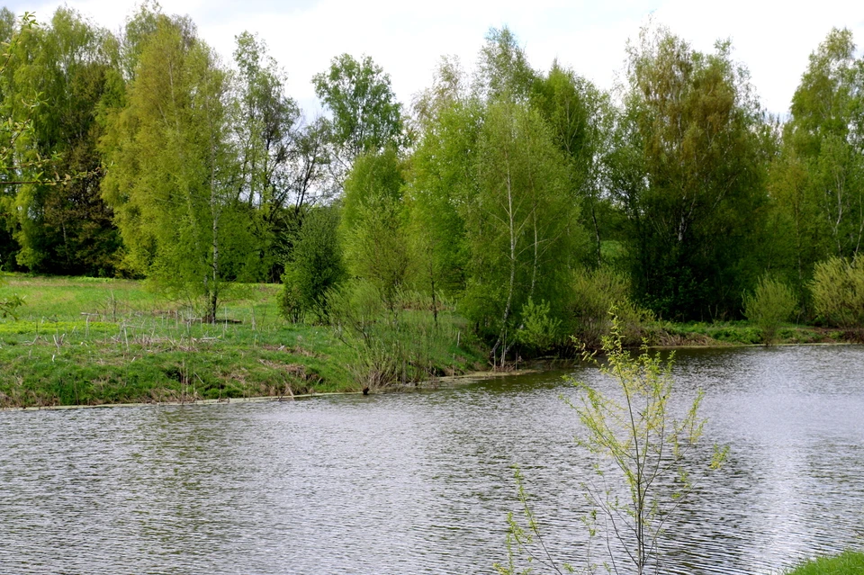 Прокуратура определила границы пруда в Веневском районе Тульской области