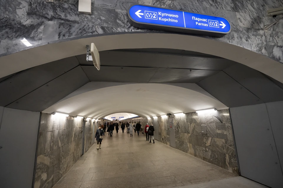 Движение на синей ветке метро Петербурга остановили из-за упавшего человека.