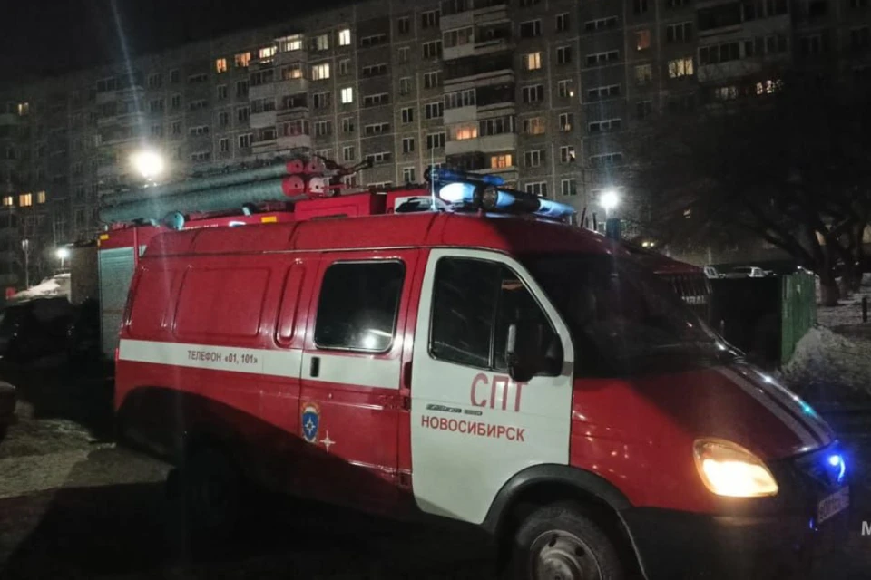 Мужчин мог спасти пожарный извещатель. Фото: Пресс-служба ГУ МЧС по Новосибирской области