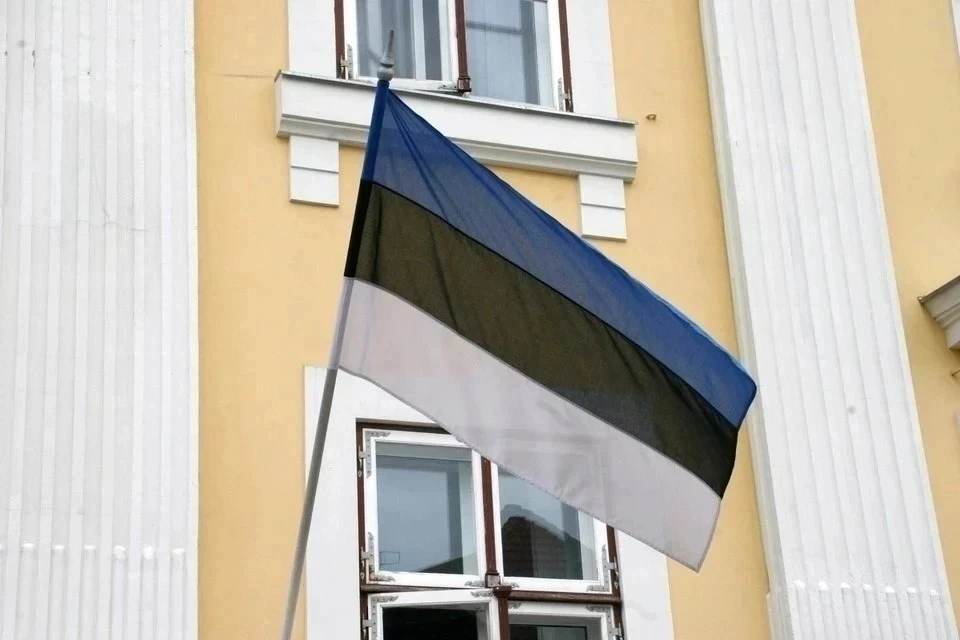 Эстония намерена продолжить строительство линии обороны на границе с Россией