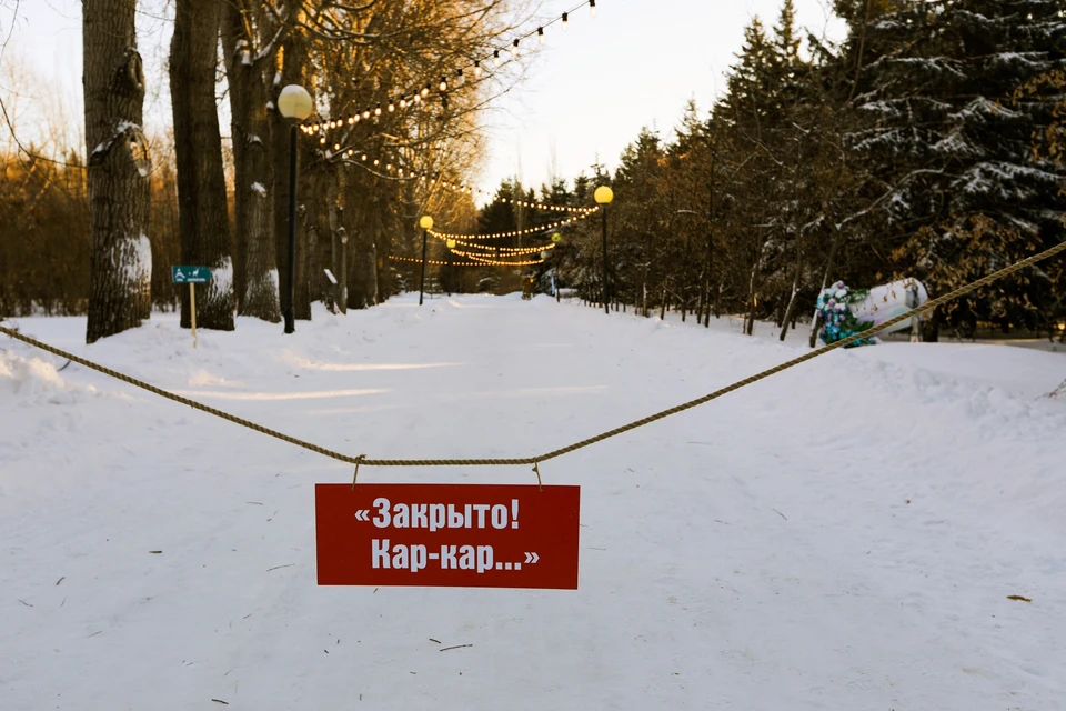 Фото: официальная группа ВКонтакте дендросада имени Гензе.