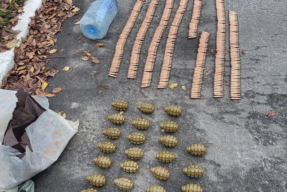 Более 2 тысяч единиц боеприпасов противника обнаружили бойцы Росгвардии в ЛНР. Фото - Росгвардия