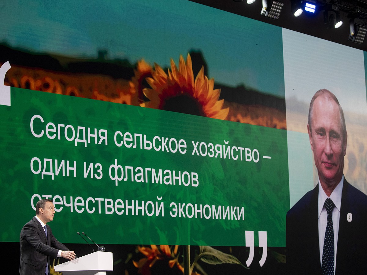 Аллея славы, съезд фермеров и подведение итогов: каким был День Минсельхоза  на ВДНХ - KP.RU