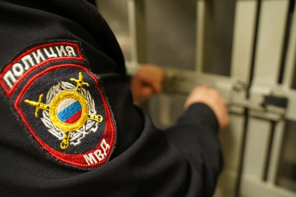 В Новосибирске с «закладчиками» борются 9 сотрудников полиции.