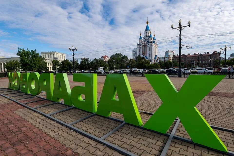 Конкурс по созданию лесных отрядов стартовал в Хабаровском крае