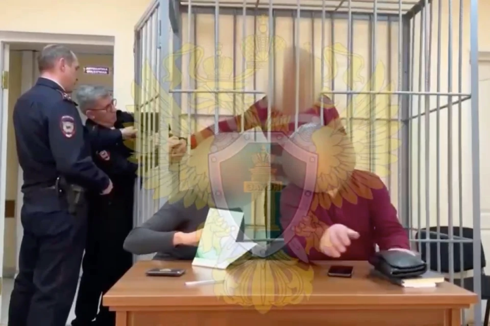 Подозреваемого отправили в СИЗО. Фото: скриншот с видео прокуратуры Хабаровского края