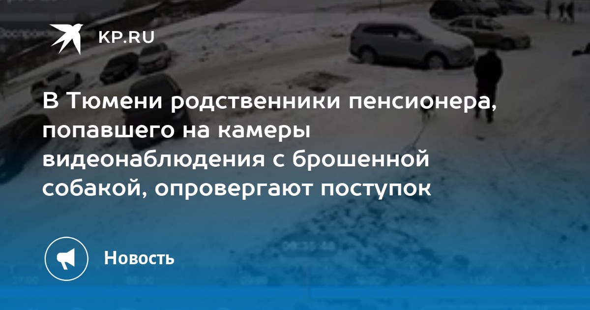 не оставляйте собаку в машине. не оставляйте собаку в машине постер. брошенный щенок. собака пес. оставила собаку.