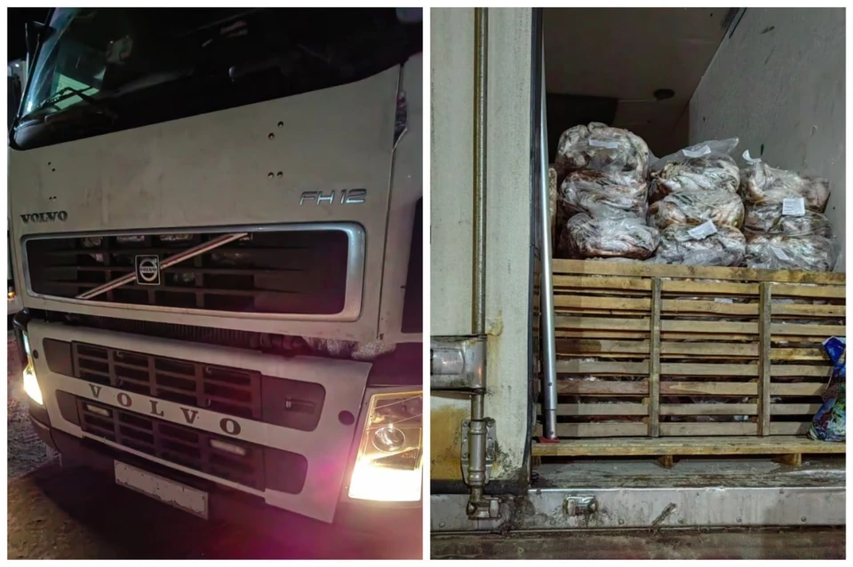Фото: В Саратовскую область не пустили рыбу из Казахстана