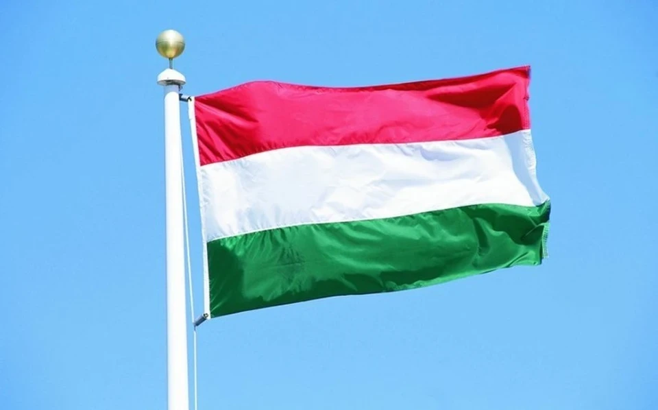 Венгерский активист написал жалобу на посла США в Будапеште Дэвида Прессмана