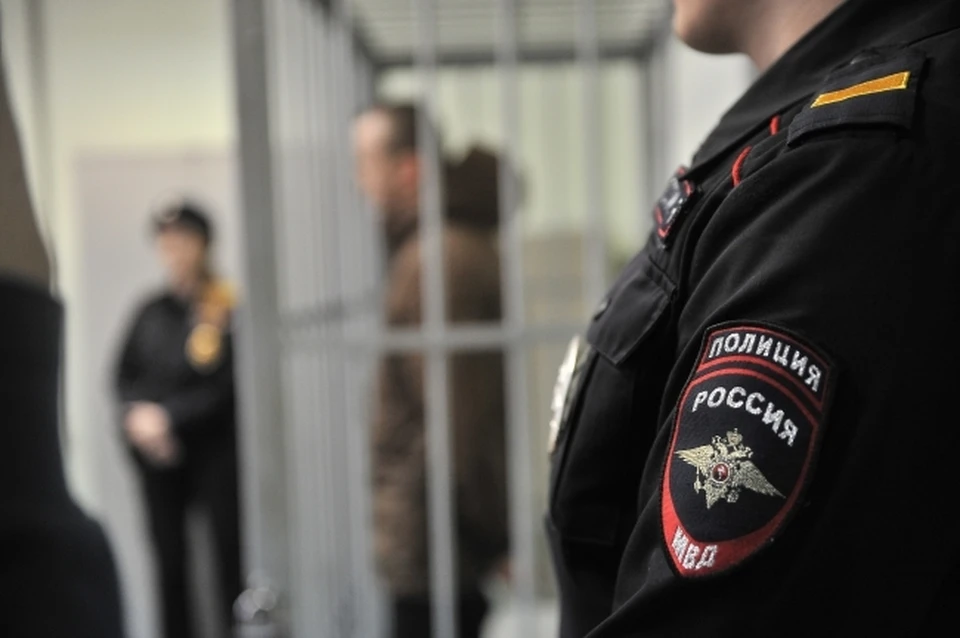 Компанию с закладками поймали в лесополосе Хабаровска