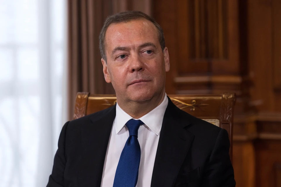 Дмитрий Медведев. Фото: Екатерина Штукина