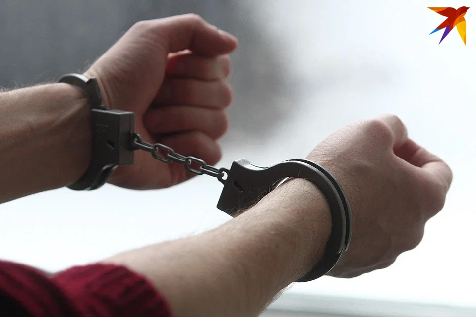 В Минске задержали 13 курьеров службы доставки, причастных к телефонным аферам. Снимок носит иллюстративный характер.