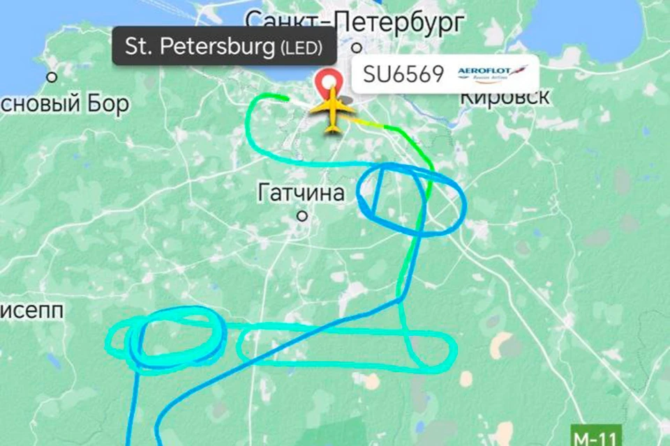 Самолет, летевший из Петербурга в Сочи, задержали в Пулково 29 февраля. Фото: www.flightradar24.com