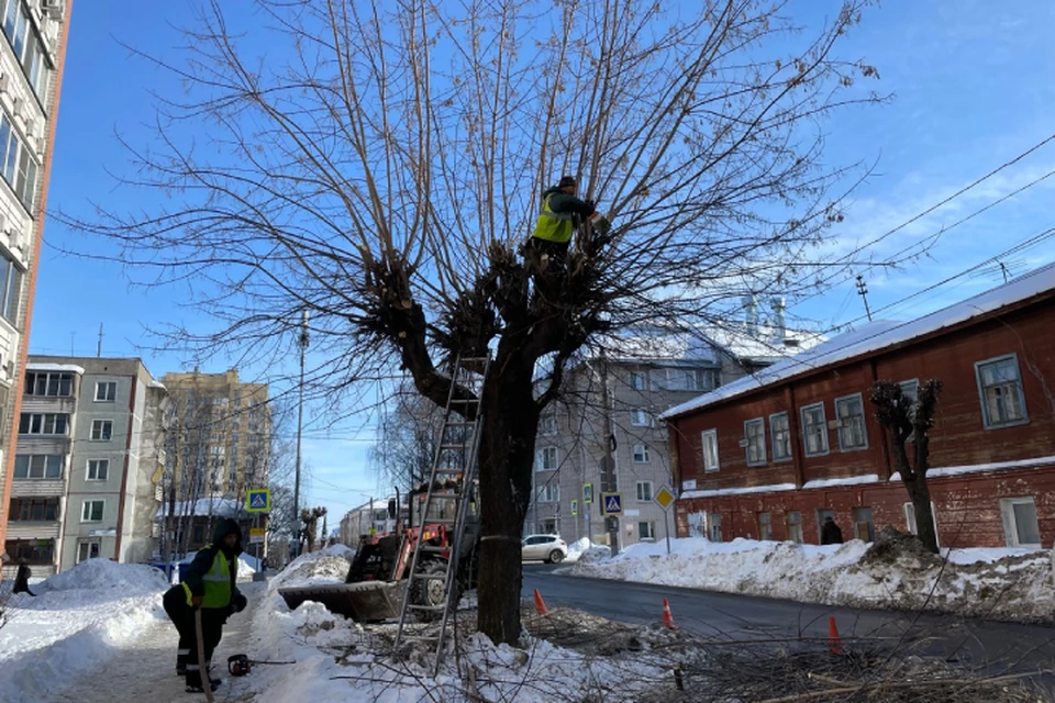 Работы прошли на улицах Труда, Казанской, Дерендяева и других. Фото: vk.com/public_green_kirov