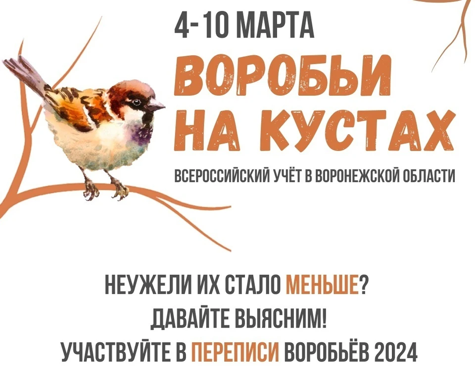 Фото управления экологии Воронежа