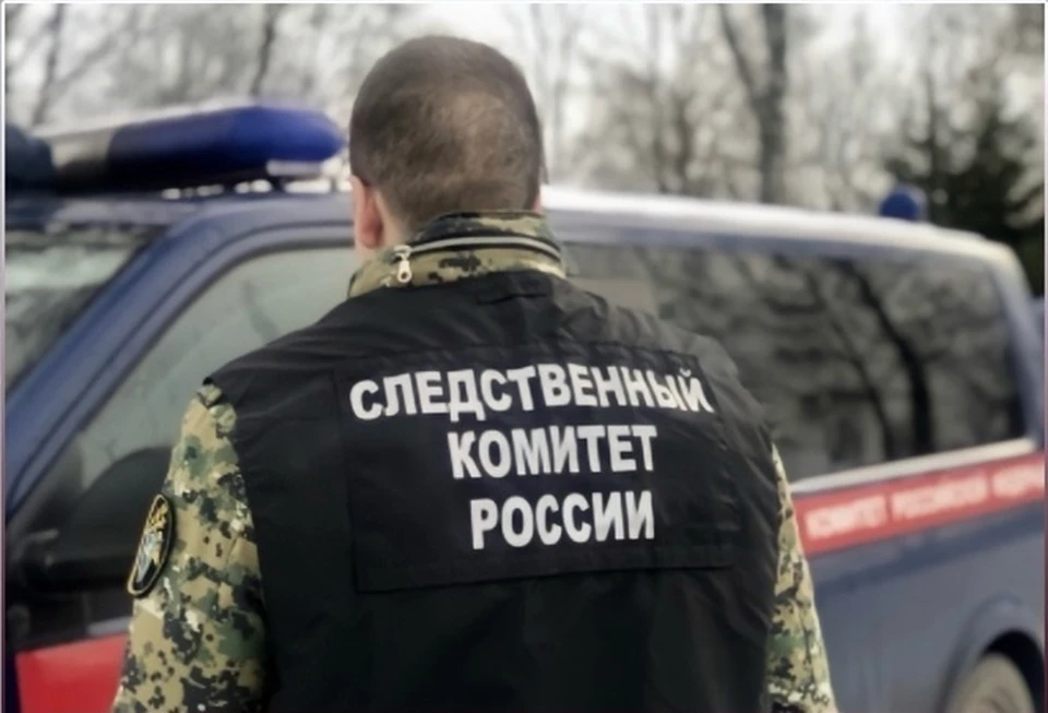 фото СУ СКР по Владимирской области