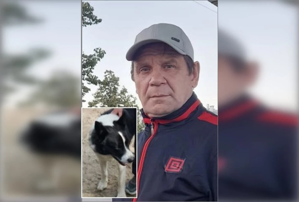В Коми продолжаются поиски ухтинца, пропавшего полгода назад. Фото: Лиза Алерт Коми.