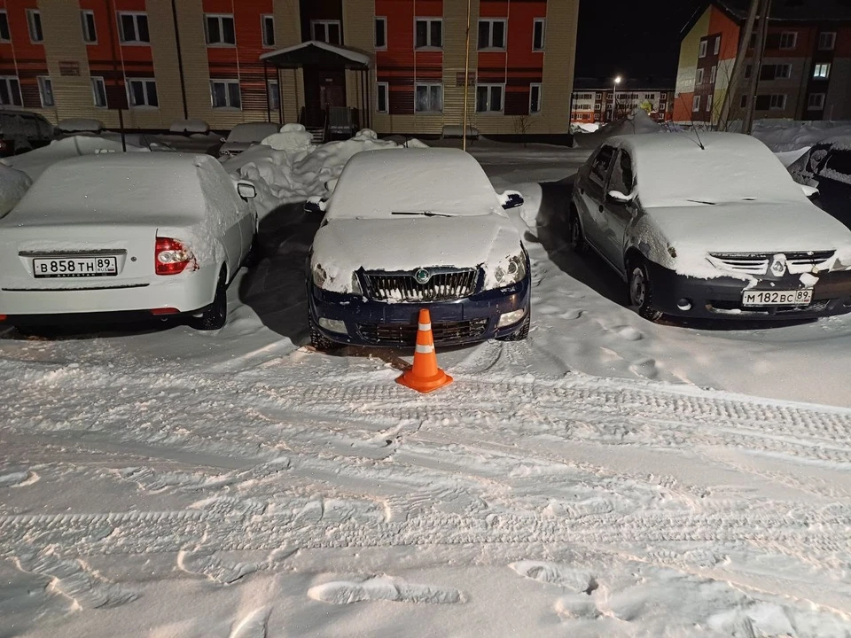 Фото: ГИБДД ЯНАО