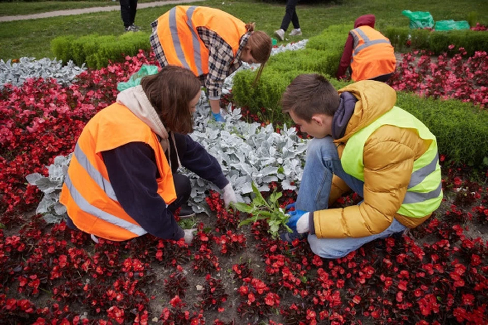 В этом году в регионе планируют трудоустроить 45 тысяч белгородских подростков.