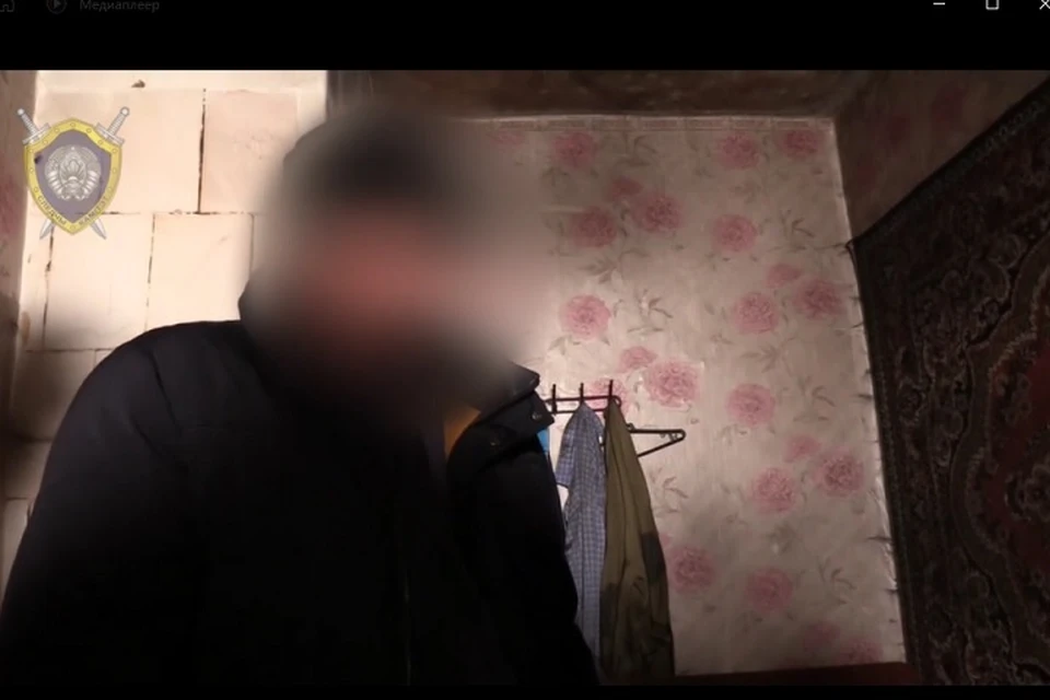 Задержан убийца семьи пенсионеров под Мозырем. Фото: стоп-кадр | видео СК.