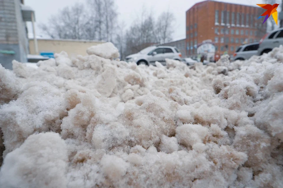 Службу благоустройства оштрафовали на 100 тысяч рублей