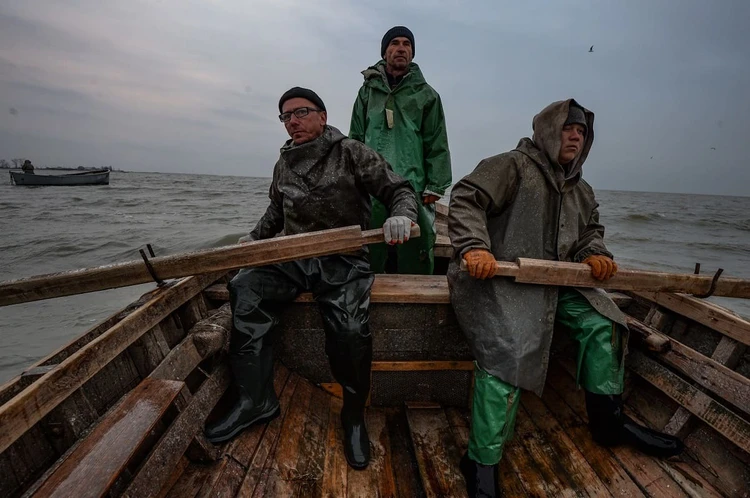 Осолонение, солнечный окунь и червь: ученый рассказал, что угрожает рыбе в Азовском море
