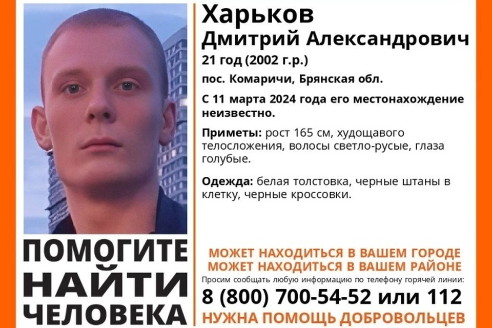 Фото: поисковый отряд "Лиза Алерт".