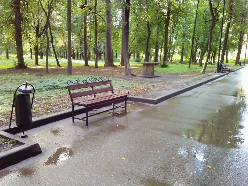 Дирекцию парков намерены создать в Рязани. Фото: администрация Рязани.