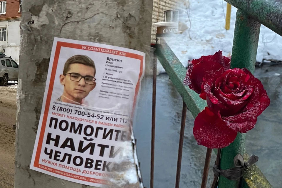 С дела о смерти рязанского студента-активиста Брысина сняли прежнего следователя.