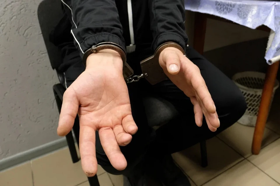 Иностранца задержали за развращение двух девочек-подростков в Ленобласти.