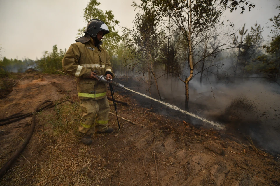 В Приморском крае в ряде муниципалитетов официально ввели особый противопожарный режим.
