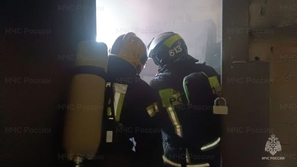 Фото: пресс-служба ГУ МЧС России по Костромской области