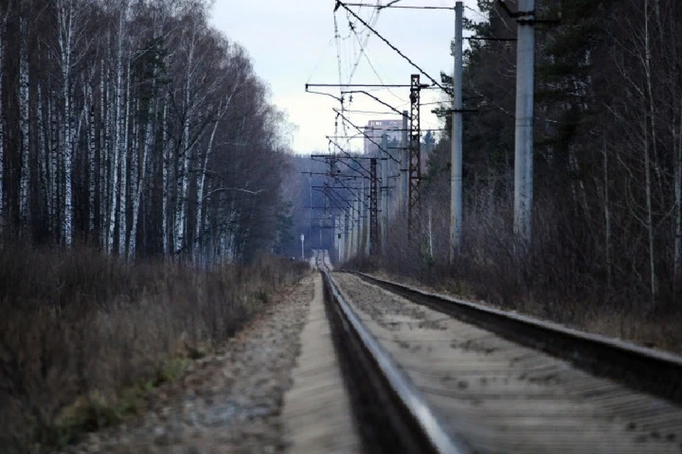 Работа по восстановлению железнодорожного сообщения между российскими регионами будет продолжена